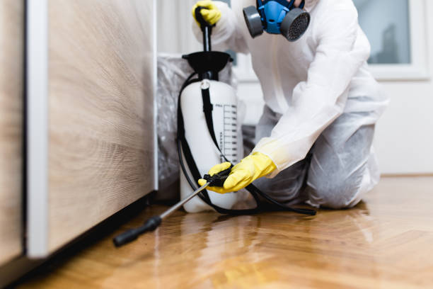 Best Local Pest Control Services  in Troutman, NC