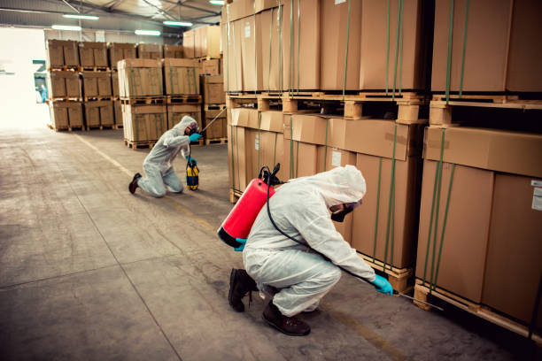 Best Ant Control Services  in Troutman, NC