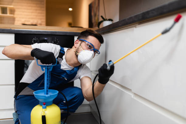 Best Affordable Pest Control Services  in Troutman, NC