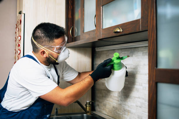Best Bed Bug Extermination  in Troutman, NC