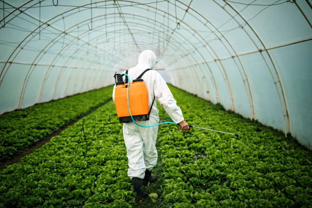 Best Pest Inspection Near Me  in Troutman, NC