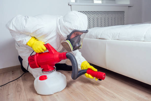 Best Wasp Removal Services  in Troutman, NC