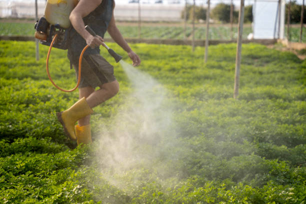 Professional Pest Control in Troutman, NC