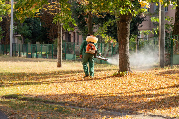 Wildlife Control Services in Troutman, NC
