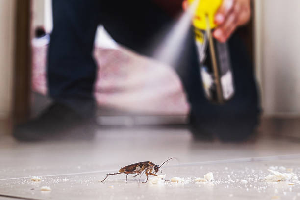 Best Wildlife Control Services  in Troutman, NC
