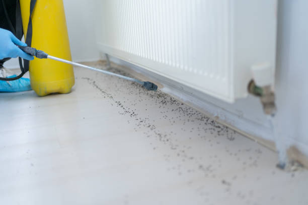Flea Control Services in Troutman, NC