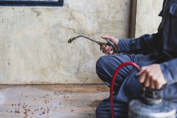 Best Rat Extermination Near Me  in Troutman, NC